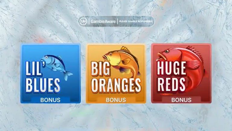 Catch the Big Catch with Ice Fishing Live Casino in the UK